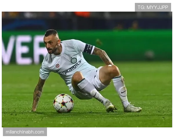 国米阵容老化风险显现，对赛季稳定性形成考验