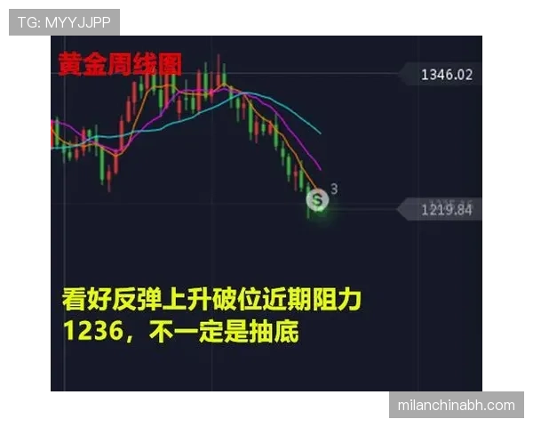 坦巴克蒂攻防表现如何支撑其持续上升的比赛影响力? 坦巴克蒂攻防表现如何支撑其持续上升的比赛影响力?